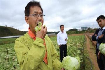 Lâm Đồng: 18 dự án nông nghiệp công nghệ cao